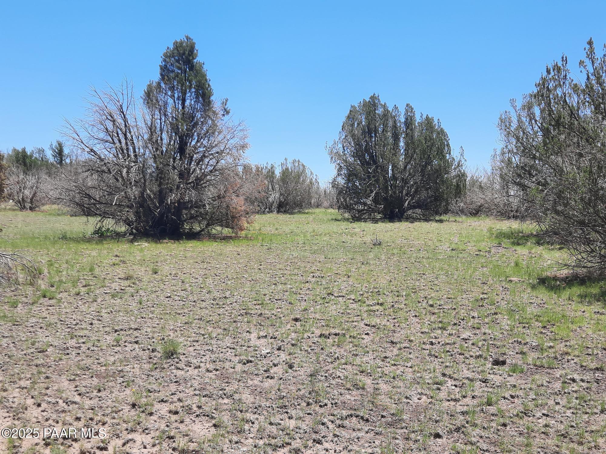Lot 1316 North Anvil Rock Road Seligman, AZ 86337 - Photo 3 of 9 20250710_122218