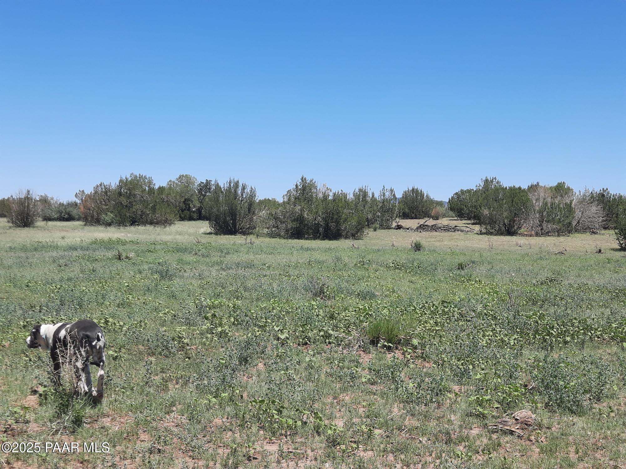 Lot 1316 North Anvil Rock Road Seligman, AZ 86337 - Photo 4 of 9 20250710_122307