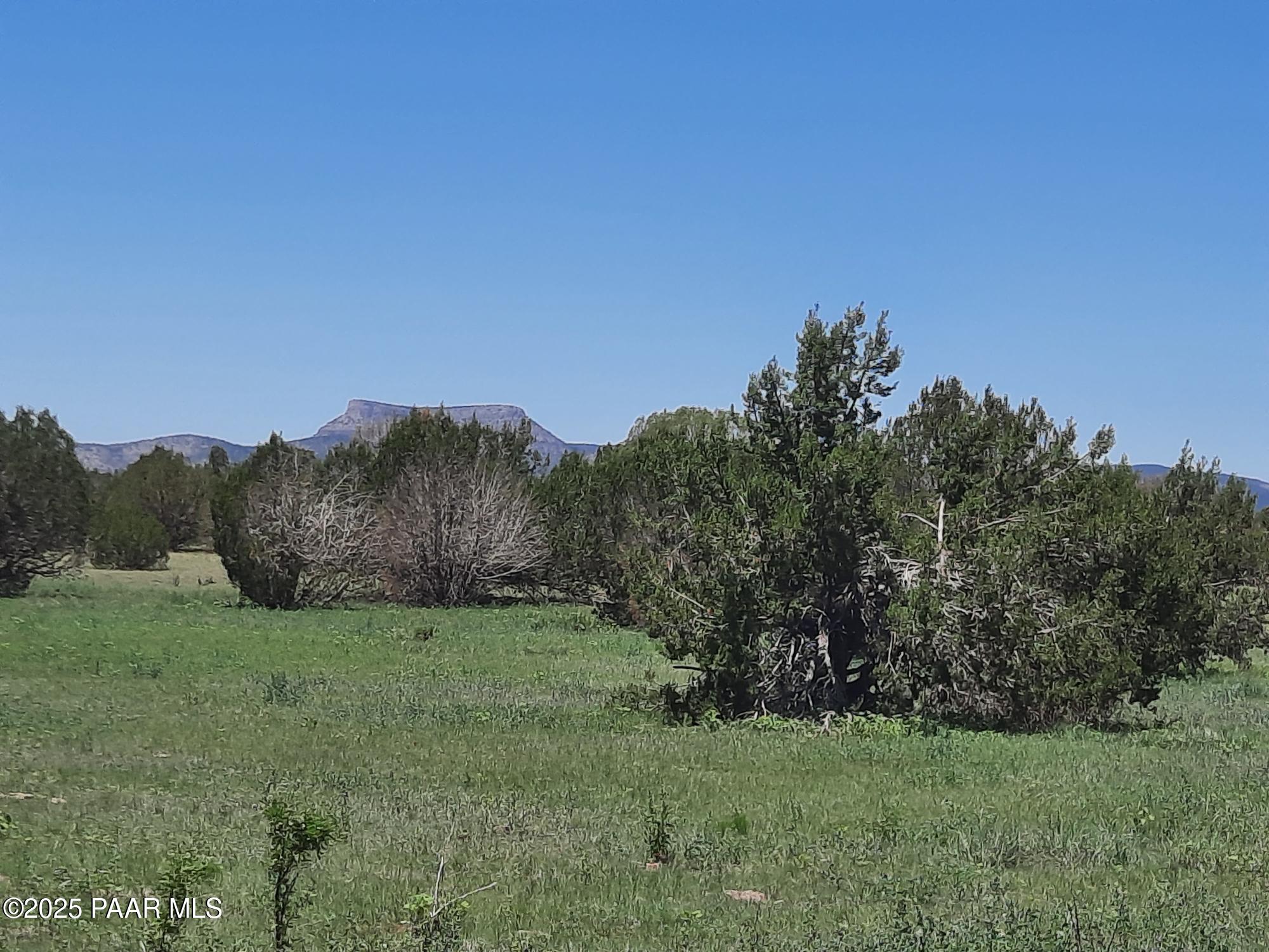 Lot 1316 North Anvil Rock Road Seligman, AZ 86337 - Photo 5 of 9 20250710_122433