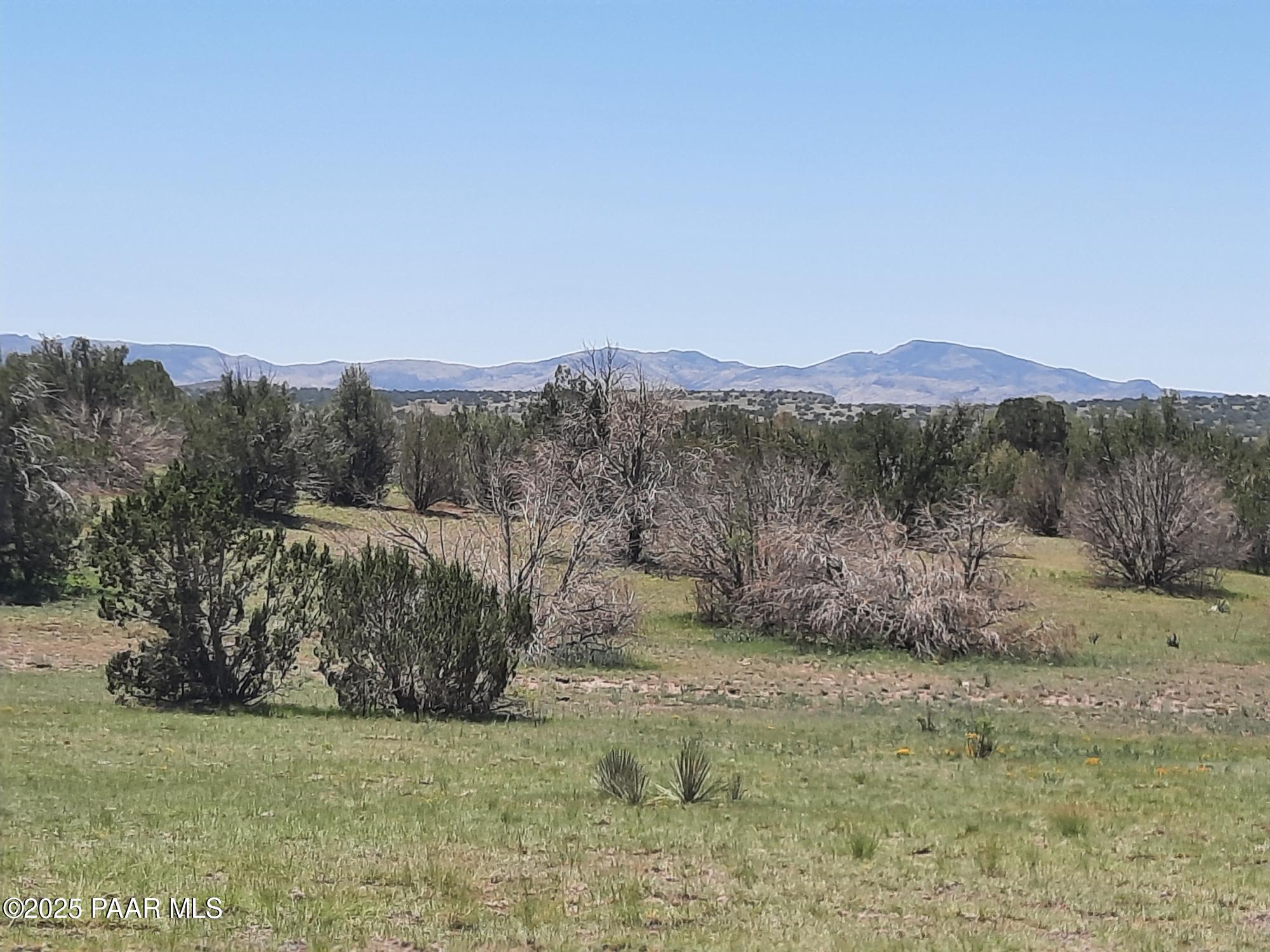 Lot 1316 North Anvil Rock Road Seligman, AZ 86337 - Photo 7 of 9 20250710_122839