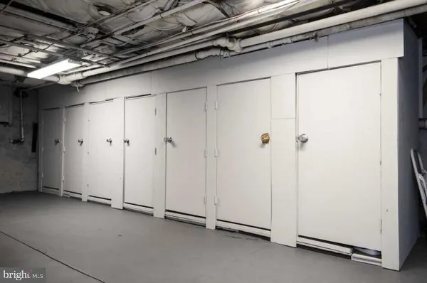 a garden view with trees