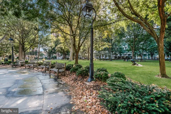 a view of a park with tree s