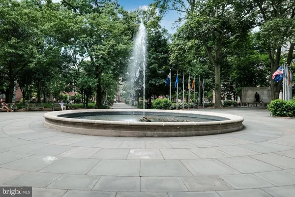 a street view with tree s