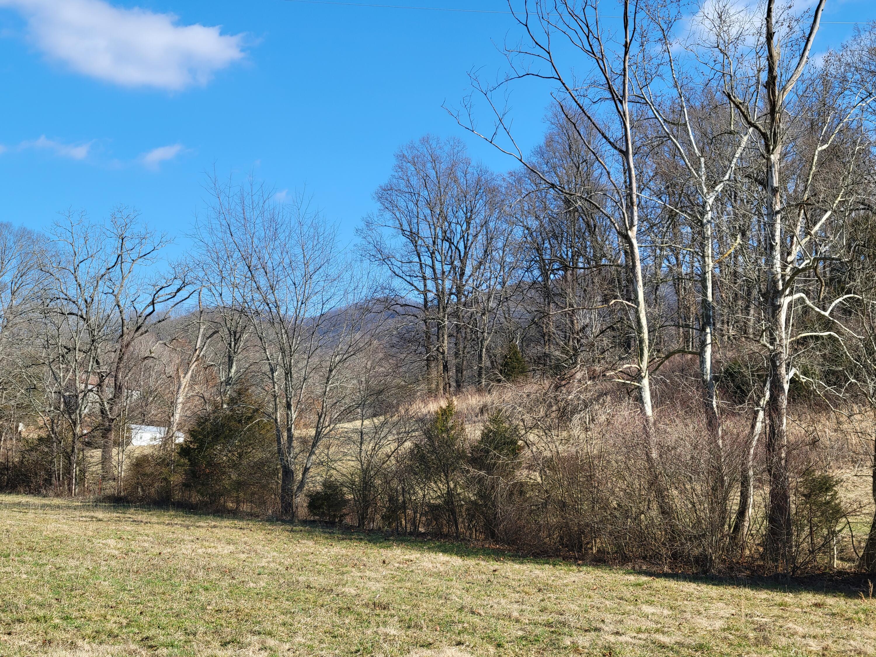 1 Cherokee Road, Unit 1 Johnson City, TN 37604 - Photo 8 of 46 20230203_142015
