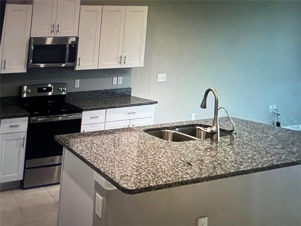 31611 Blue Passing Loop Wesley Chapel, FL 33545 - Photo 5 of 18 a kitchen with stainless steel appliances granite countertop a sink stove and refrigerator