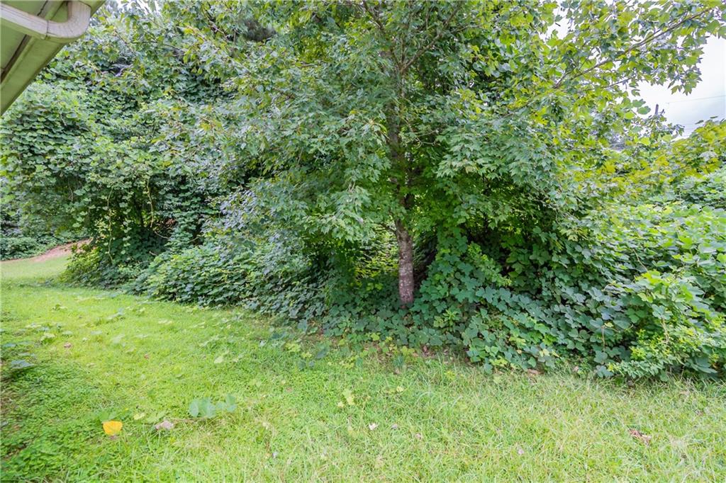 4890 Wilkins Station Drive Decatur, GA 30035 - Photo 33 of 34 a view of a lush green forest
