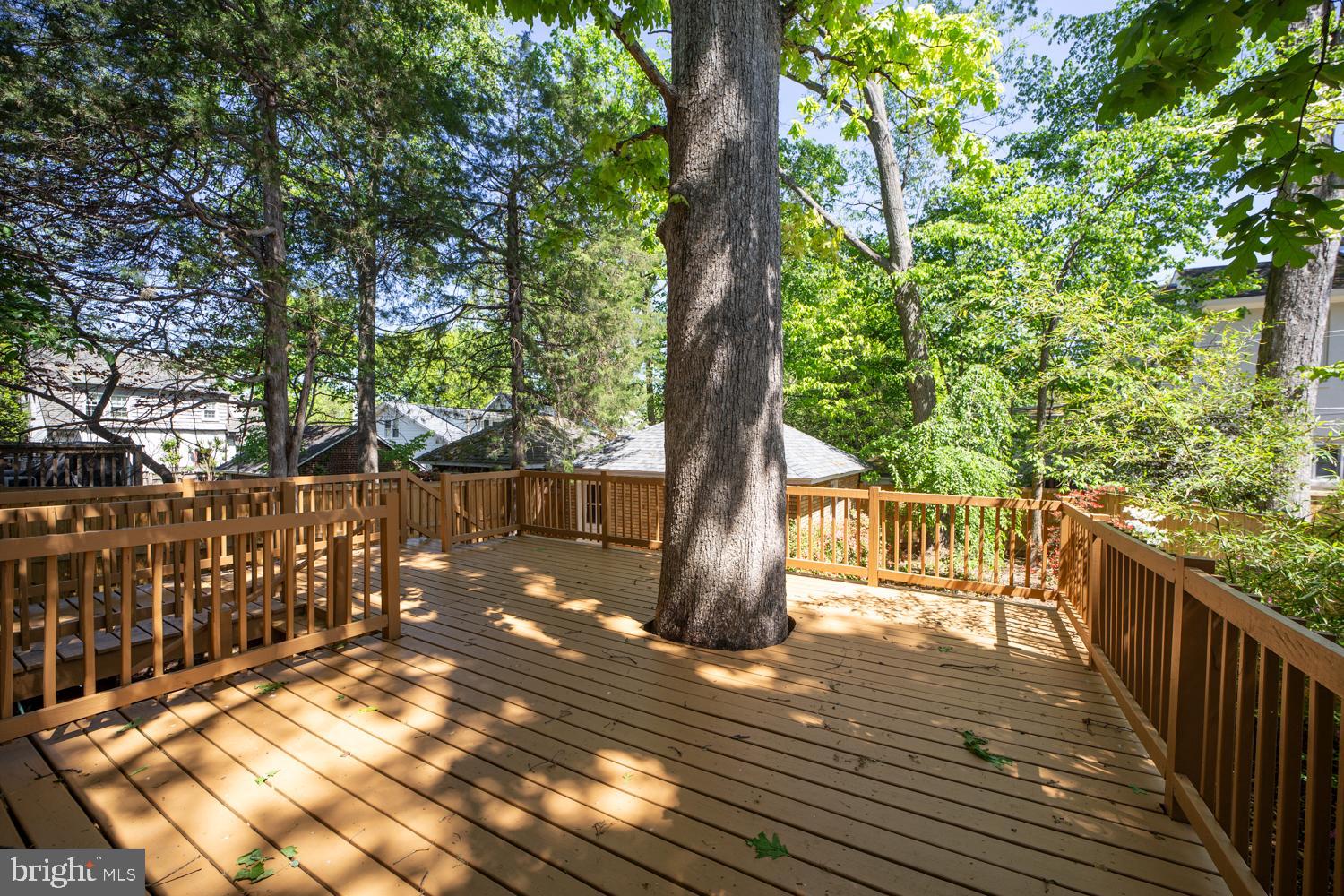 5533 33rd Street Northwest Washington, DC 20015 - Photo 43 of 47 ...