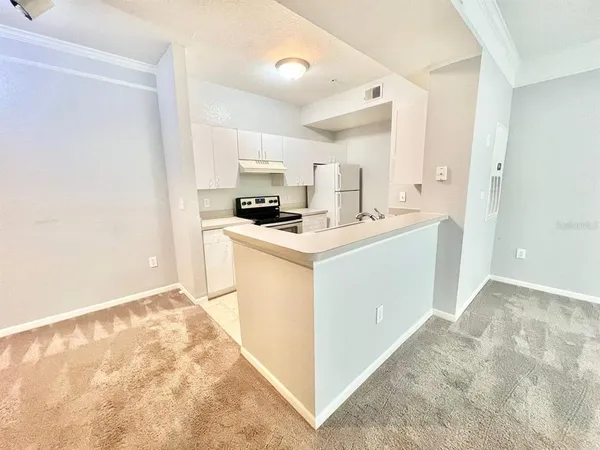 $1,350 | 17110 Carrington Park Drive, Unit 826, Tampa, FL 33647