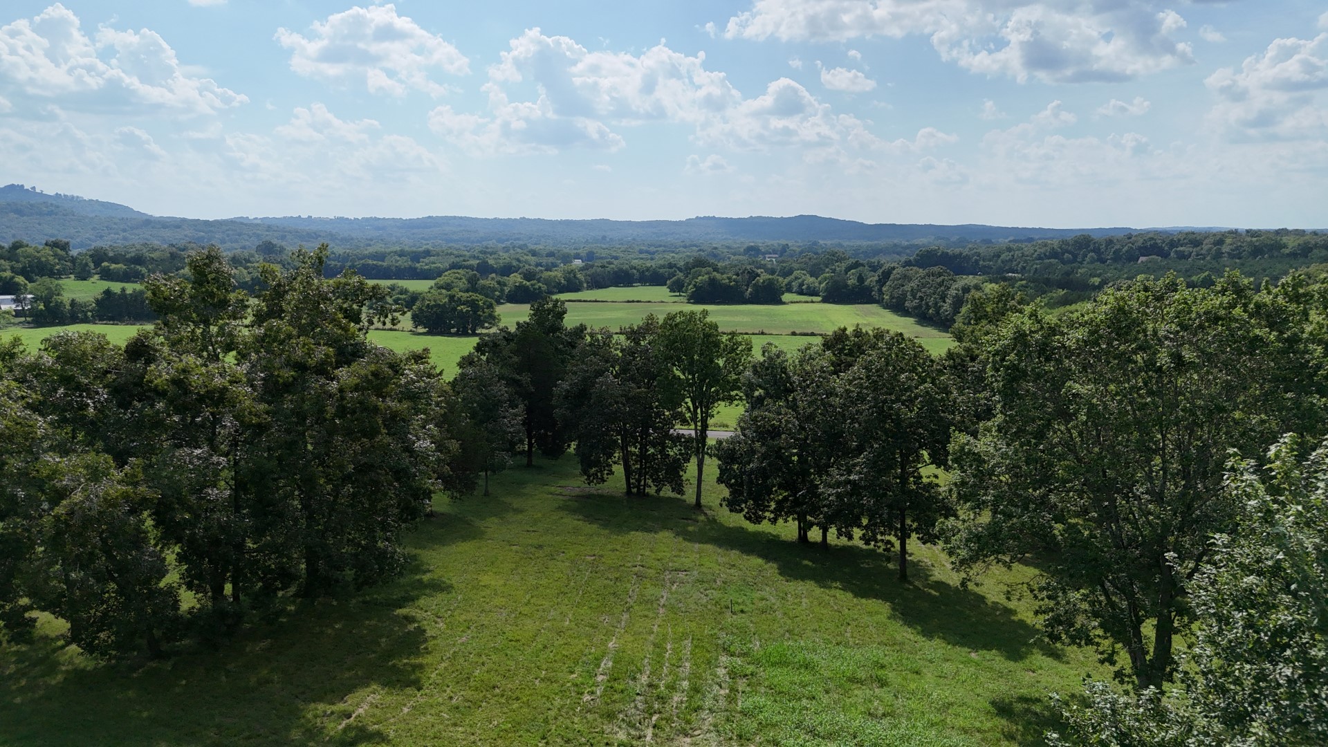 1162 Tassey Road Readyville, TN 37149 - Photo 8 of 65 Gallery Image 8