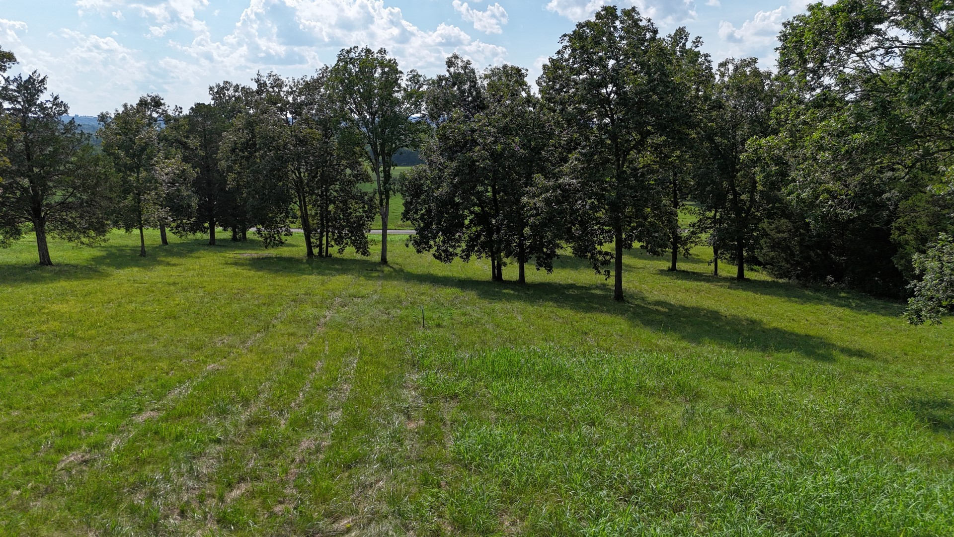 1162 Tassey Road Readyville, TN 37149 - Photo 10 of 65 Gallery Image 10