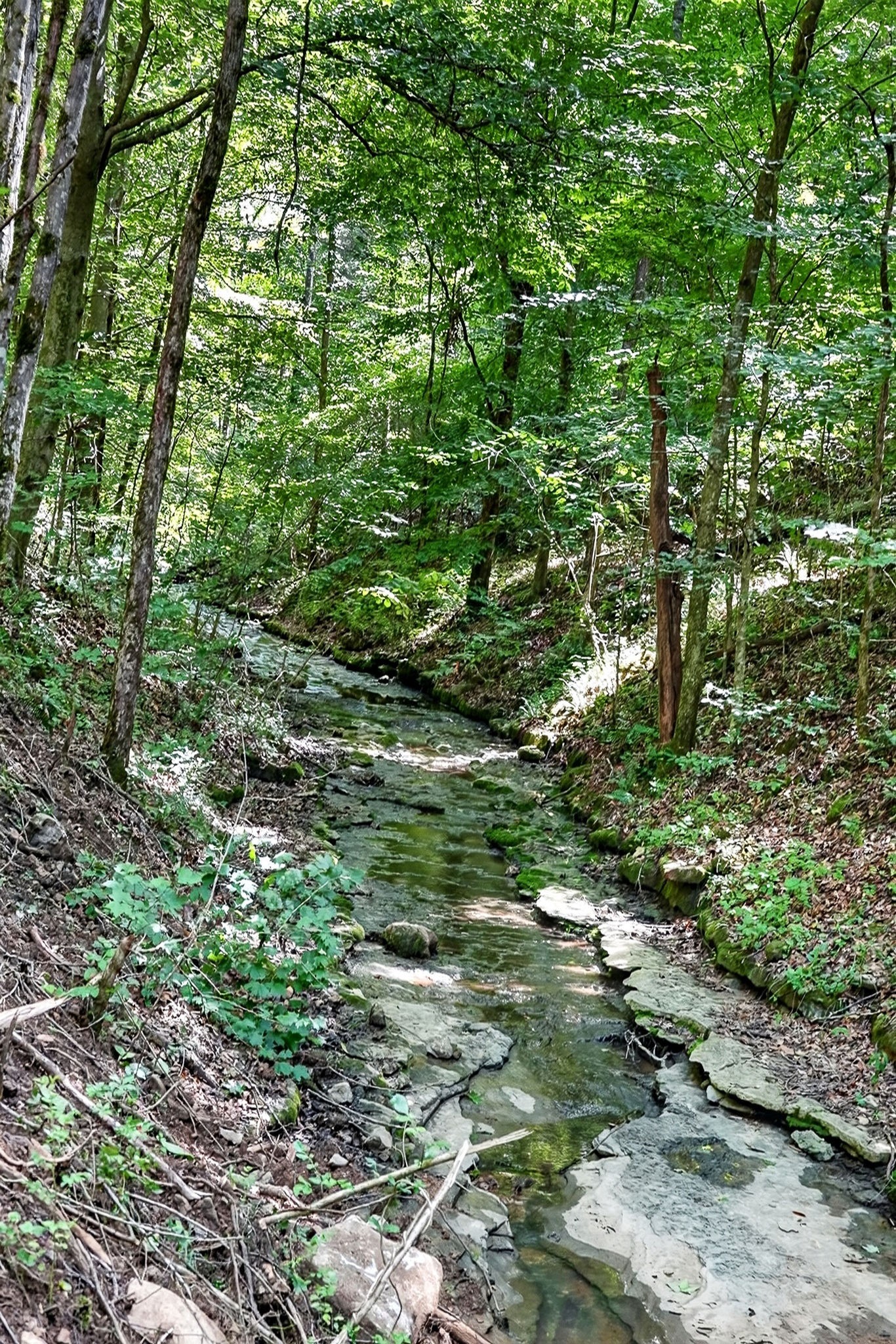 2926 Bryant Ridge Road Baxter, TN 38544 - Photo 24 of 64