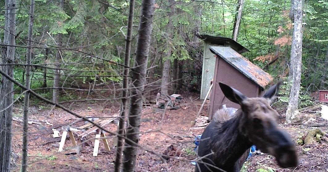 119 Campground Road Guilford, ME 04443 - Photo 6 of 21 IMG_1261