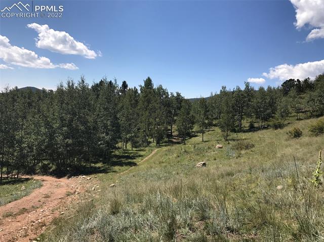 5665 County Road Victor, CO 80860 - Photo 40 of 40 Gallery Image 40