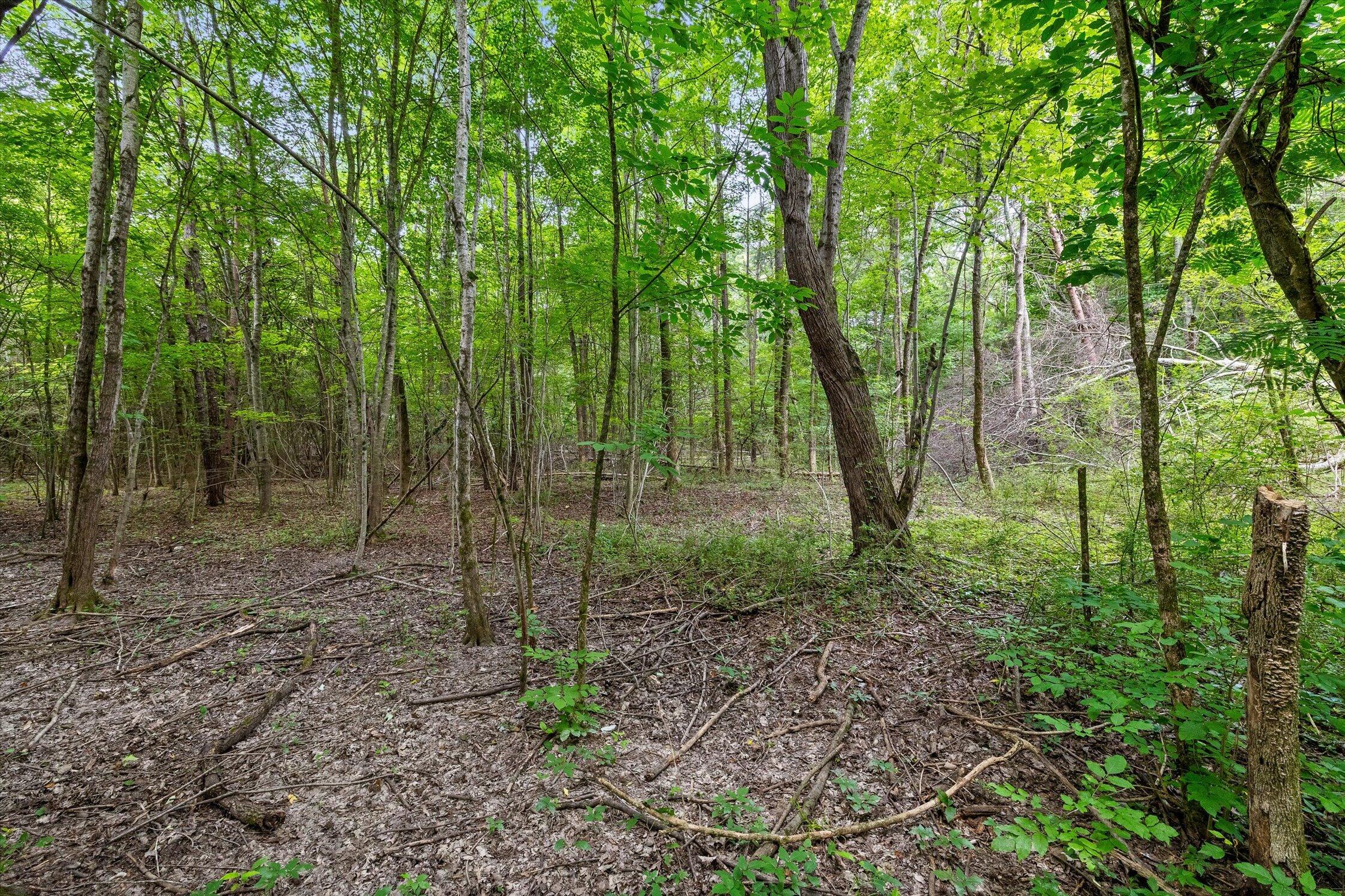 1906 Spradling Road Soddy-Daisy, TN 37379 - Photo 6 of 27 07-1906 Spradling-4