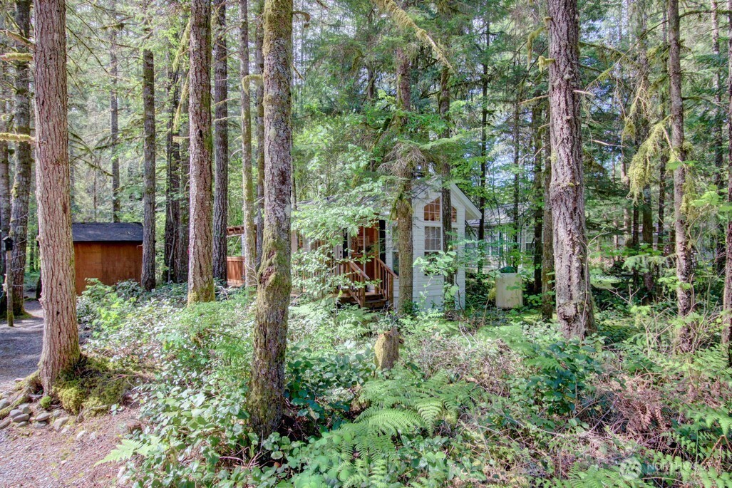 134 Drial Loop Maple Falls, WA 98266 - Photo 22 of 36 a view of a garden