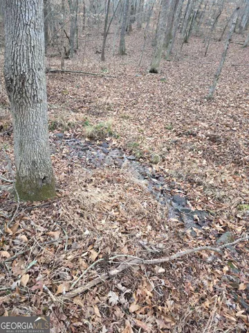 a view of a backyard with large trees