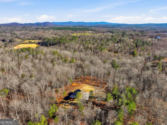 a view of a field of grass and trees