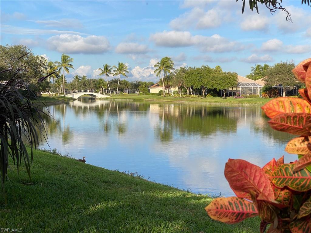 2740 Island Pond Lane Naples, FL 34119 - Photo 27 of 43 a view of a lake with houses in the back
