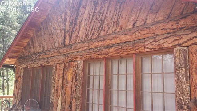 9655 Mountain Road Cascade, CO 80809 - Photo 7 of 10