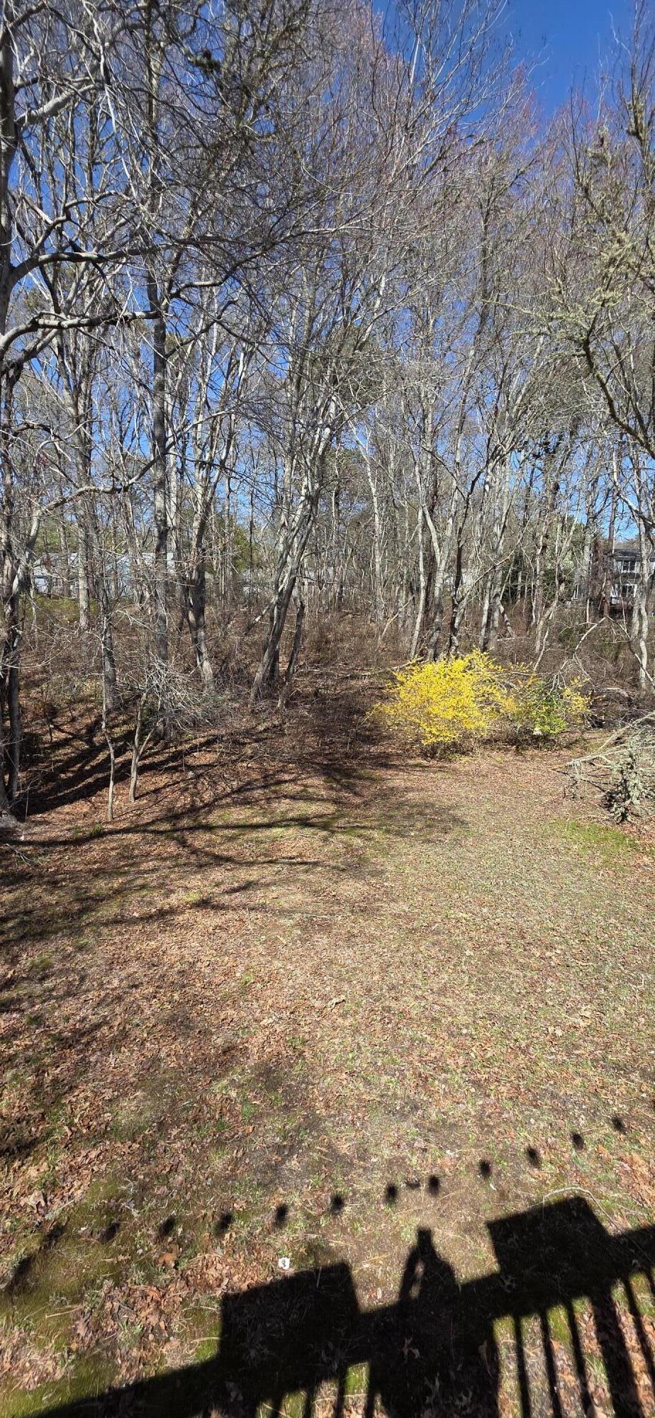 14 Norton Road West Yarmouth, MA 02673 - Photo 11 of 13 20260504_143904