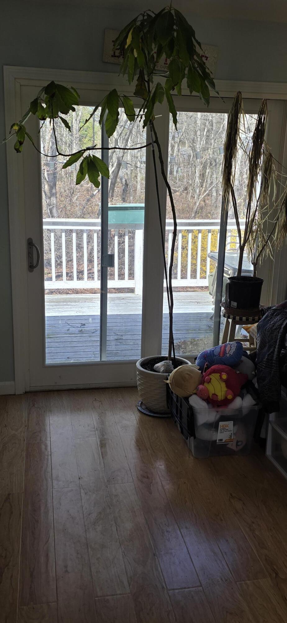 14 Norton Road West Yarmouth, MA 02673 - Photo 2 of 13 nor mudroom