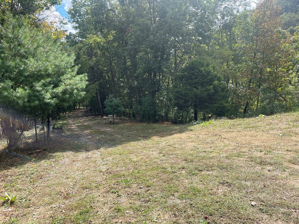 Tbd Bethesda Road Bristol, VA 24202 - Photo 4 of 9 Gallery Image 4