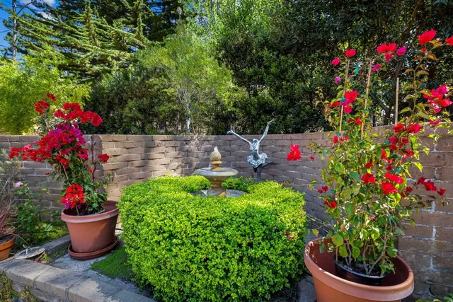 a view of a pathway both side of yard