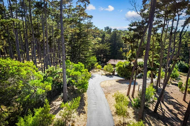 an aerial view of swimming pool
