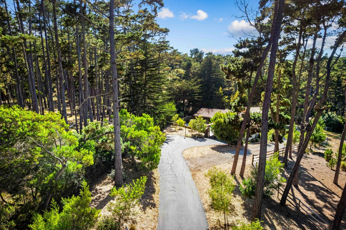 1268 Viscaino Road Pebble Beach, CA 93953 - Photo 38 of 47 a view of a pathway both side of yard
