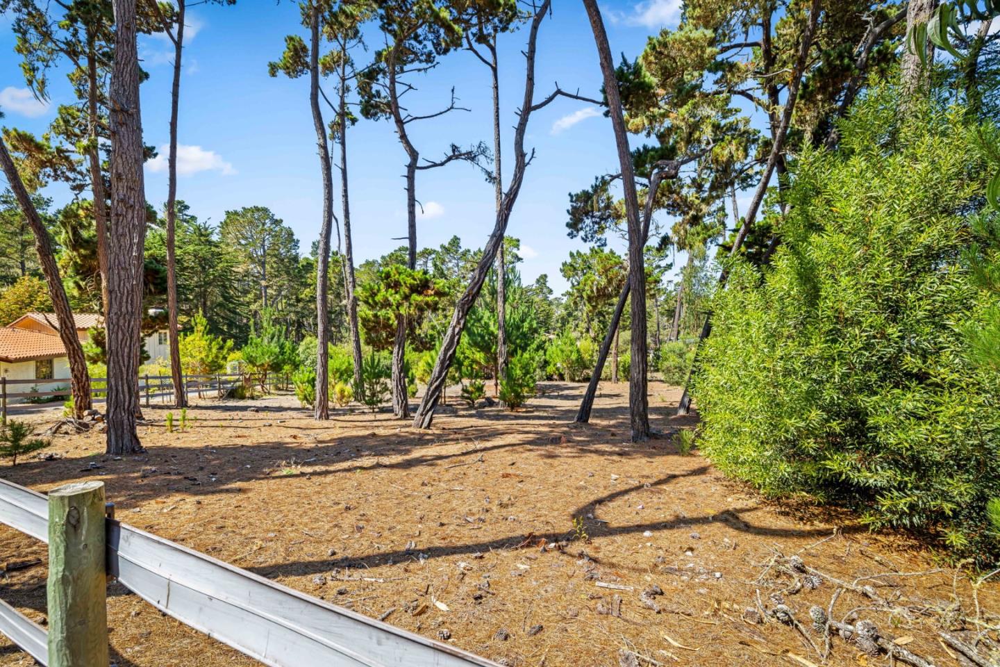 1268 Viscaino Road Pebble Beach, CA 93953 - Photo 41 of 47 a view of a backyard of the house