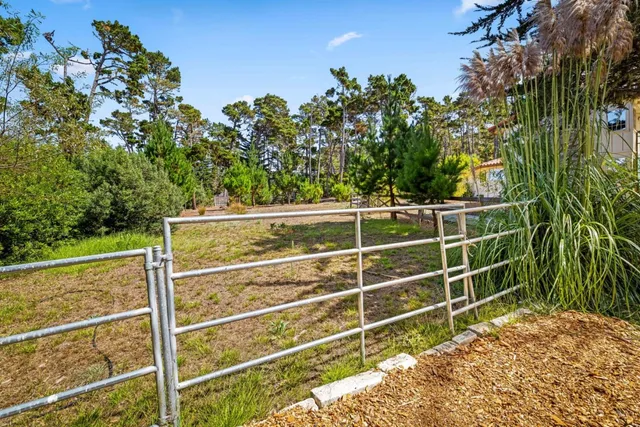 a view of outdoor space and yard