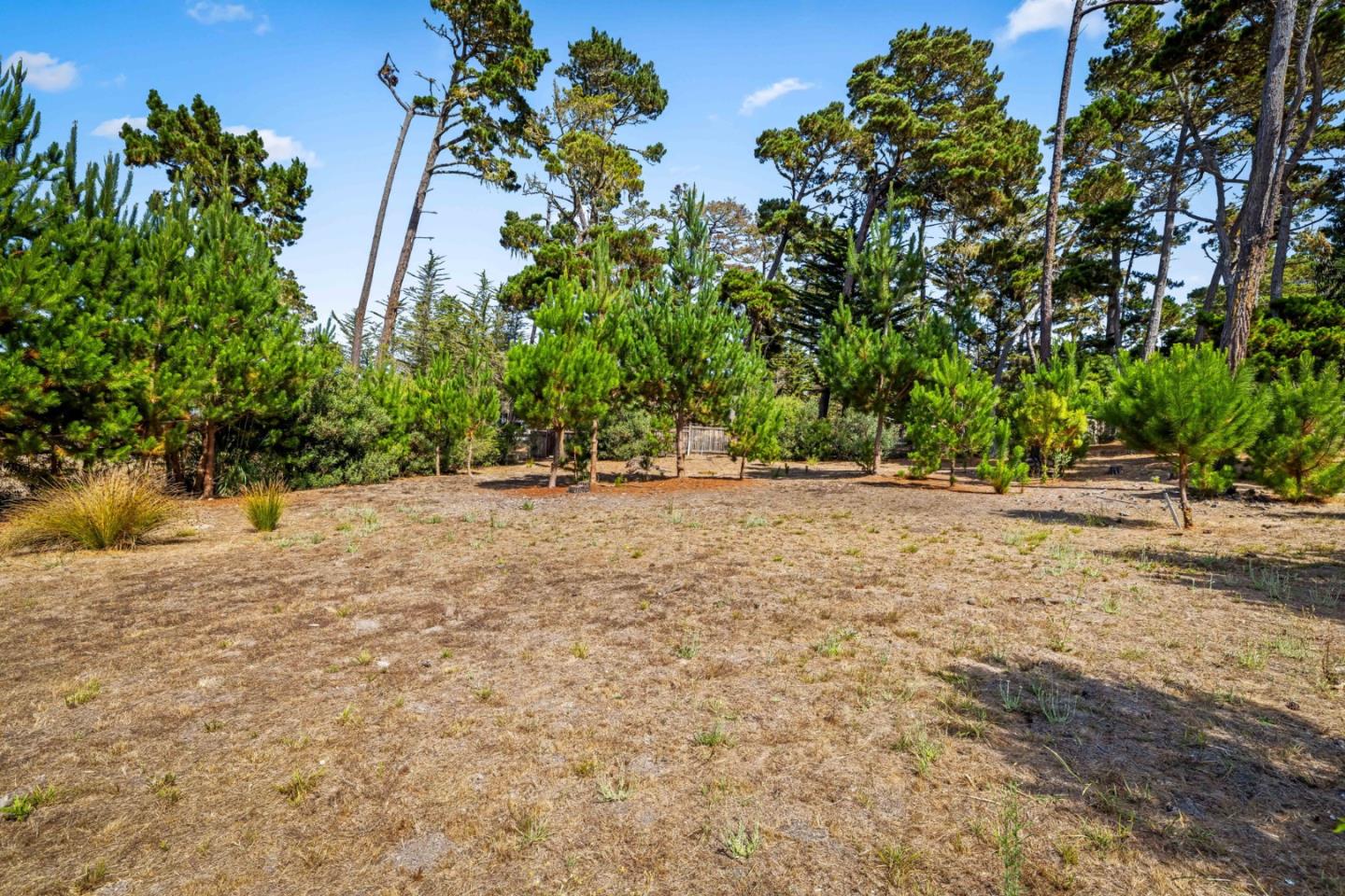 1268 Viscaino Road Pebble Beach, CA 93953 - Photo 46 of 47 a view of outdoor space with deck and yard