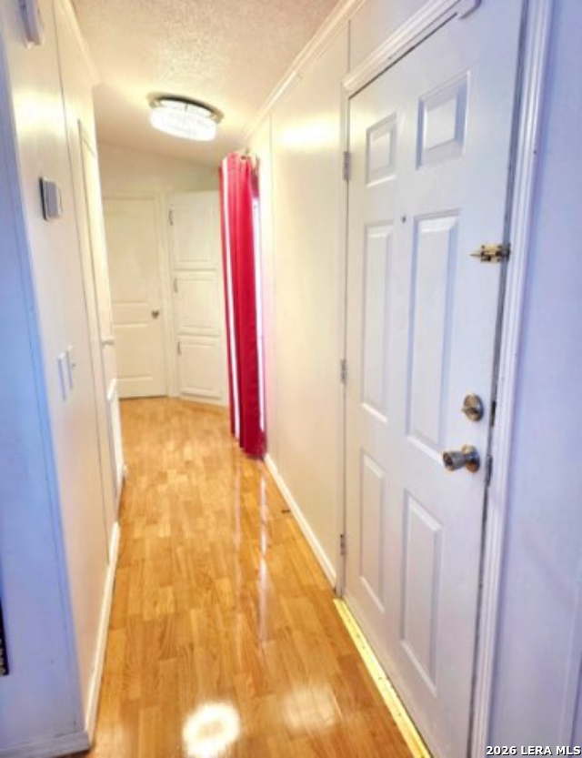 315 Frst Crk Road Devine, TX 78016 - Photo 10 of 11