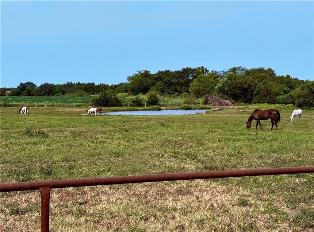 17228 White Road Green Ridge, MO 65332 - Photo 32 of 44