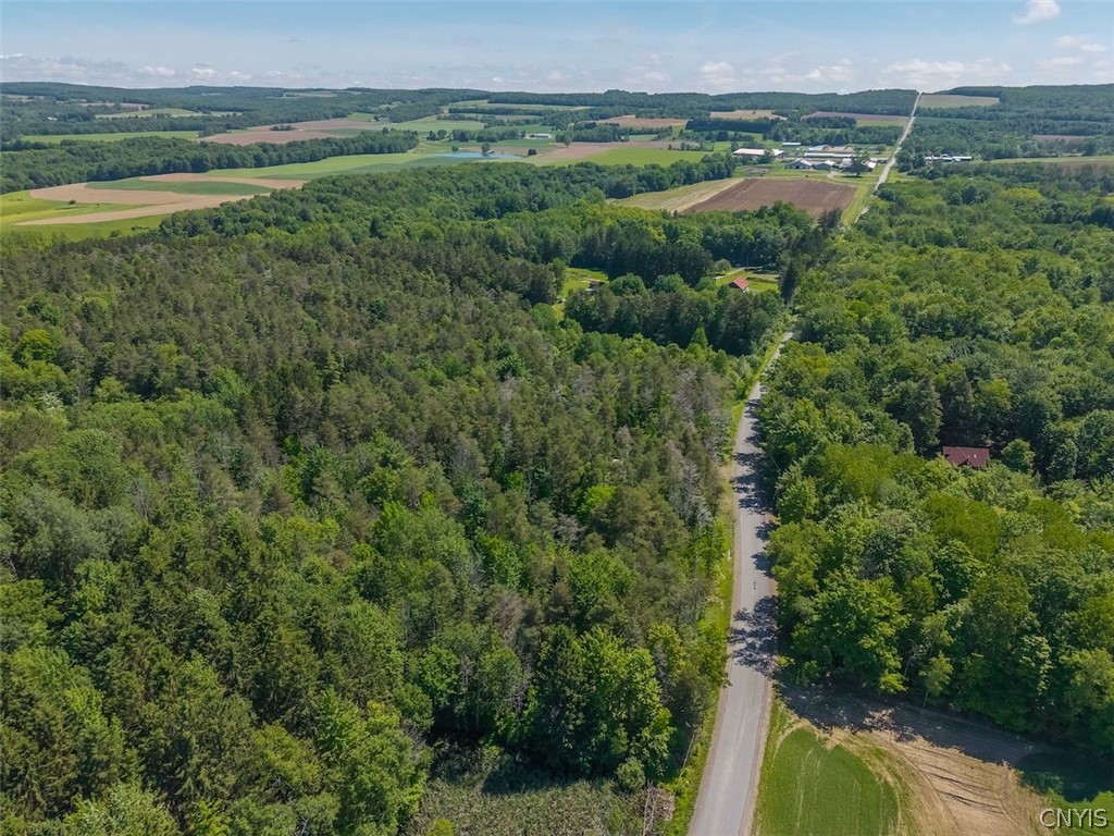 8804 Becker Road Springwater, NY 14572 - Photo 34 of 34