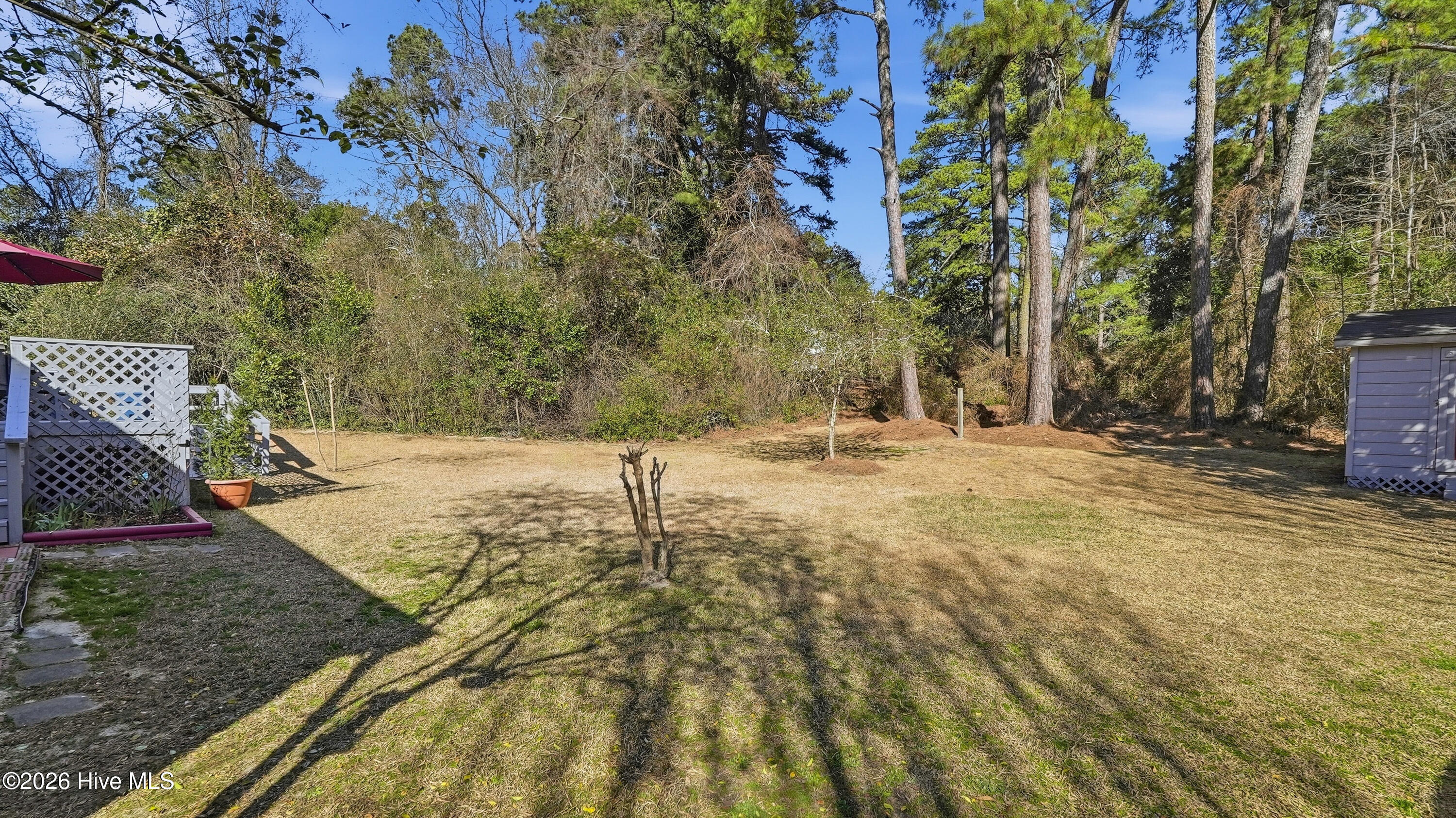 716 Pinecrest Street Carthage, NC 28327 - Photo 39 of 50 DSC04961