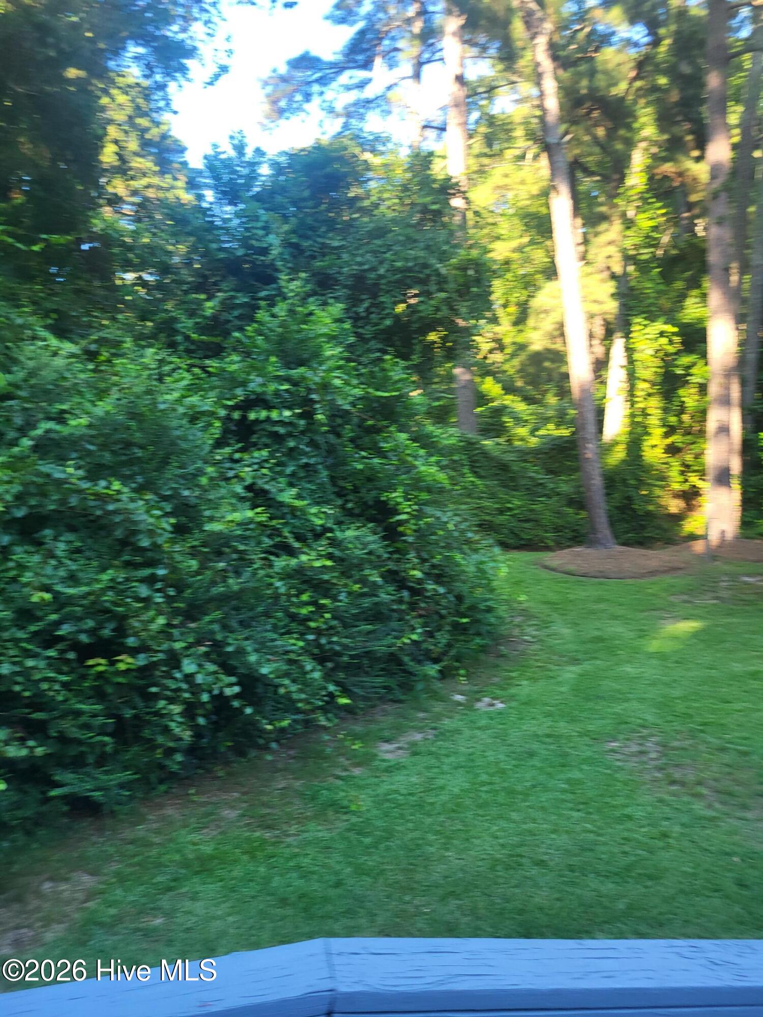 716 Pinecrest Street Carthage, NC 28327 - Photo 45 of 50 20250728_183101