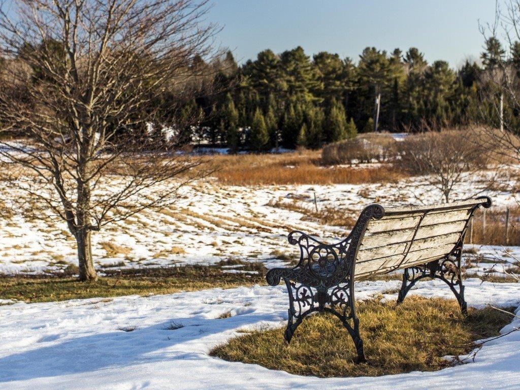 325 Lunt Road Brunswick, ME 04011 - Photo 30 of 35 Field