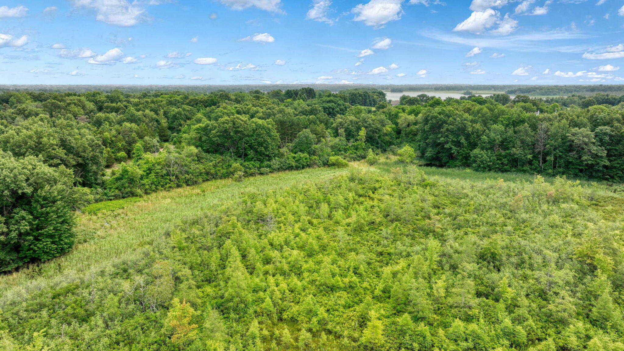 3930 Hoyer Road Jackson, MI 49201 - Photo 49 of 53 49