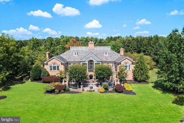 a view of a patio with table and chairs and potted plants with large tree
