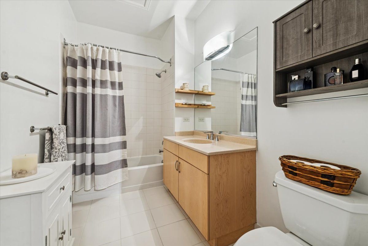 1515 South Halsted Street, Unit 204 Chicago, IL 60607 - Photo 11 of 14 a bathroom with a sink a toilet and shower