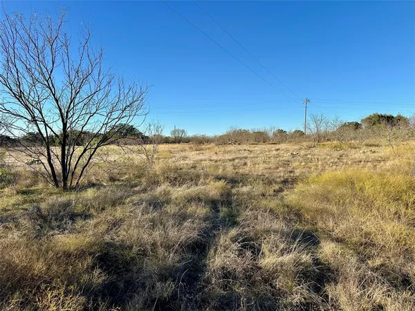 a view of a large tree is standing in between the field