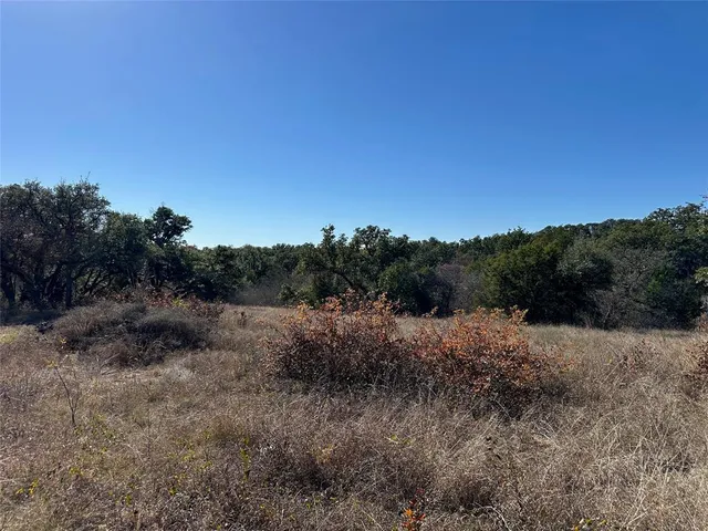 a view of an outdoor space with green field and trees
