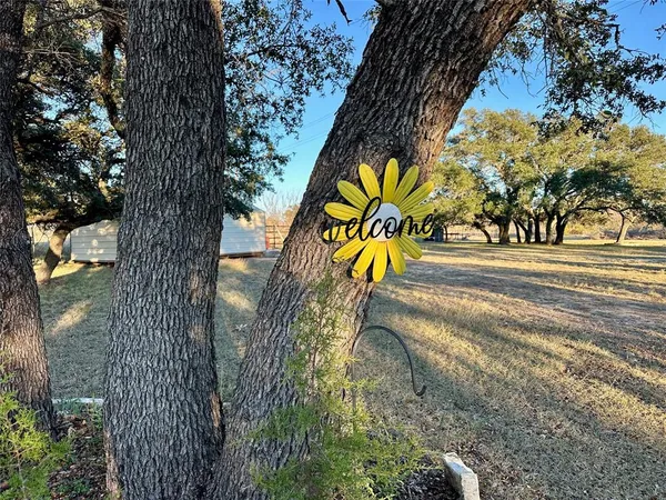 a view of a swimming pool with a bench and trees in the background