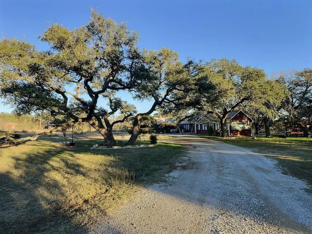 a view of dirt yard with a large tree