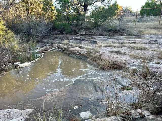 a view of a lake with large trees