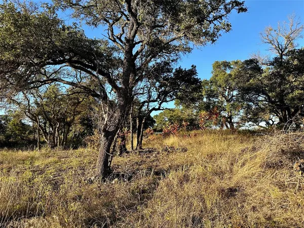 a view of yard covered with snow