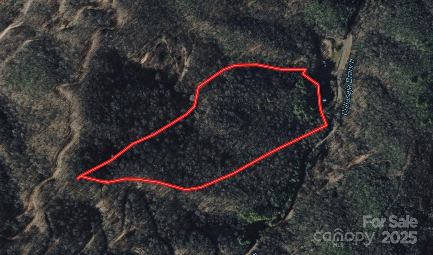 999 Cullisia Road Bryson City, NC 28713 - Photo 11 of 11