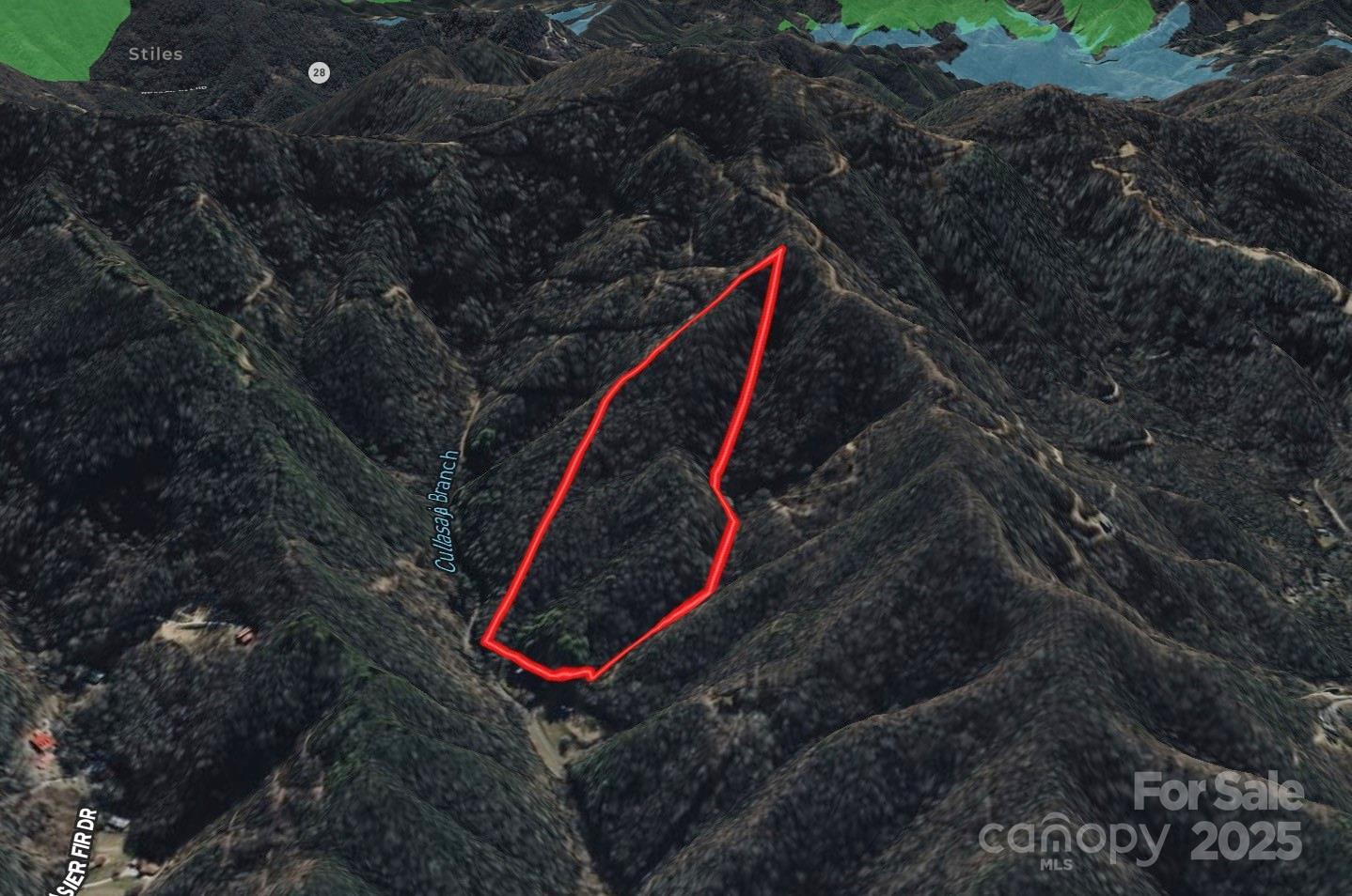 999 Cullisia Road Bryson City, NC 28713 - Photo 2 of 11 a view of a backyard