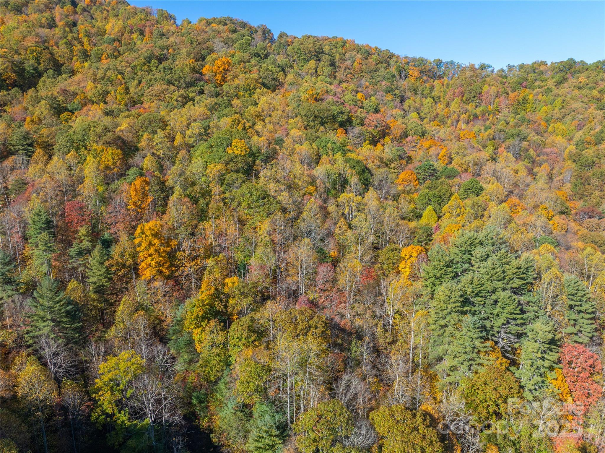 999 Cullisia Road Bryson City, NC 28713 - Photo 3 of 11 a view of a field
